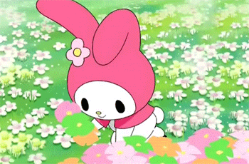 my melody flowers